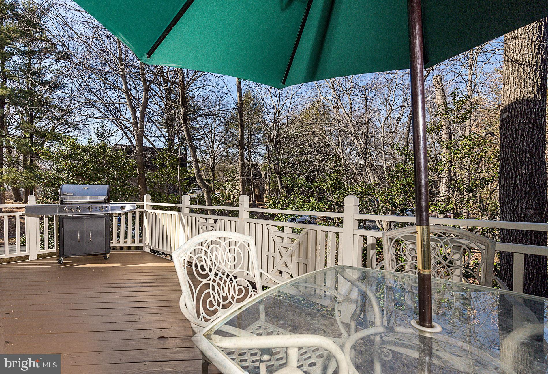 11522 Waterhaven Court Reston, VA 20190 - Photo 27 of 28 FIRE UP THE GRILL!