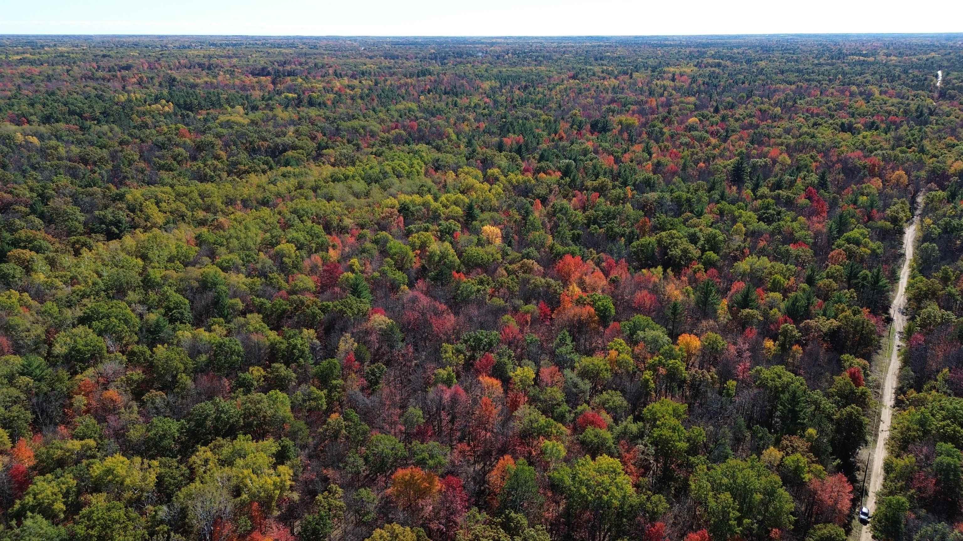 0 Timber Trail Prescott, MI 48756 - Photo 15 of 44