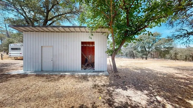a small pool covered with tall trees