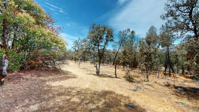 a view of a yard with a slide