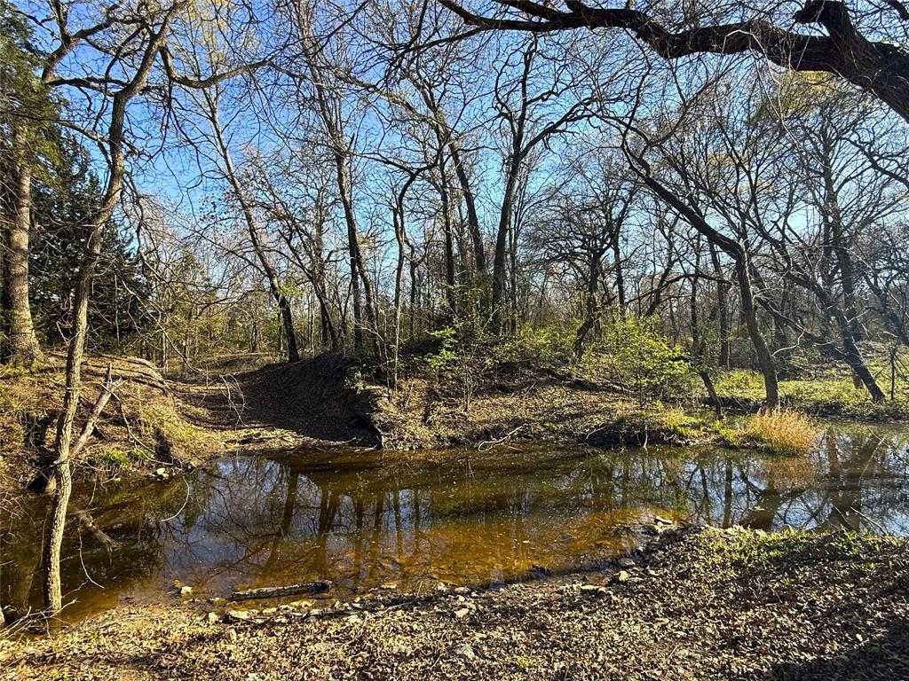 2196 Old Agnes Road Weatherford, TX 76088 - Photo 29 of 35