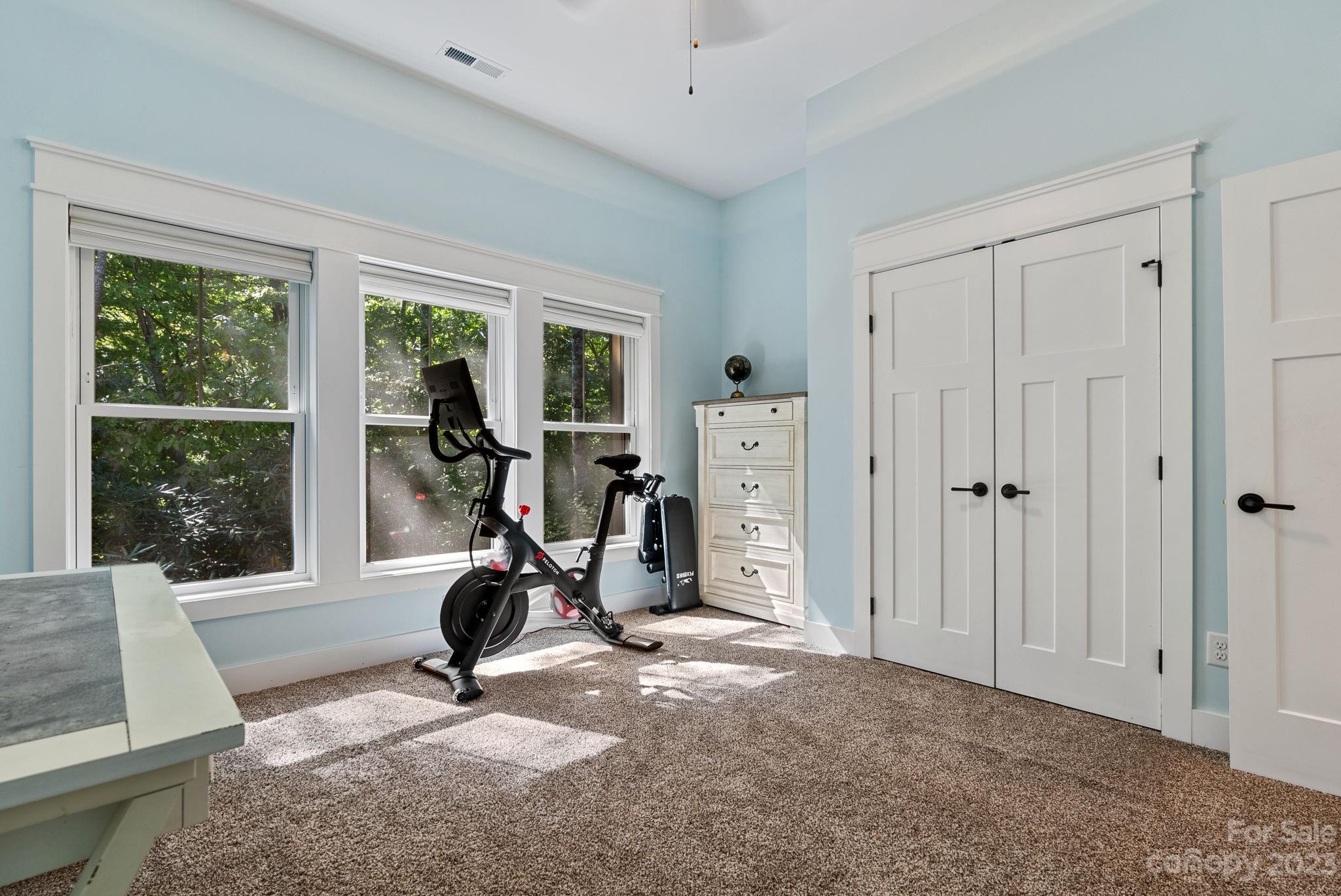 37 Still Creek Loop Fairview, NC 28730 - Photo 29 of 46 a view of a room with gym equipment