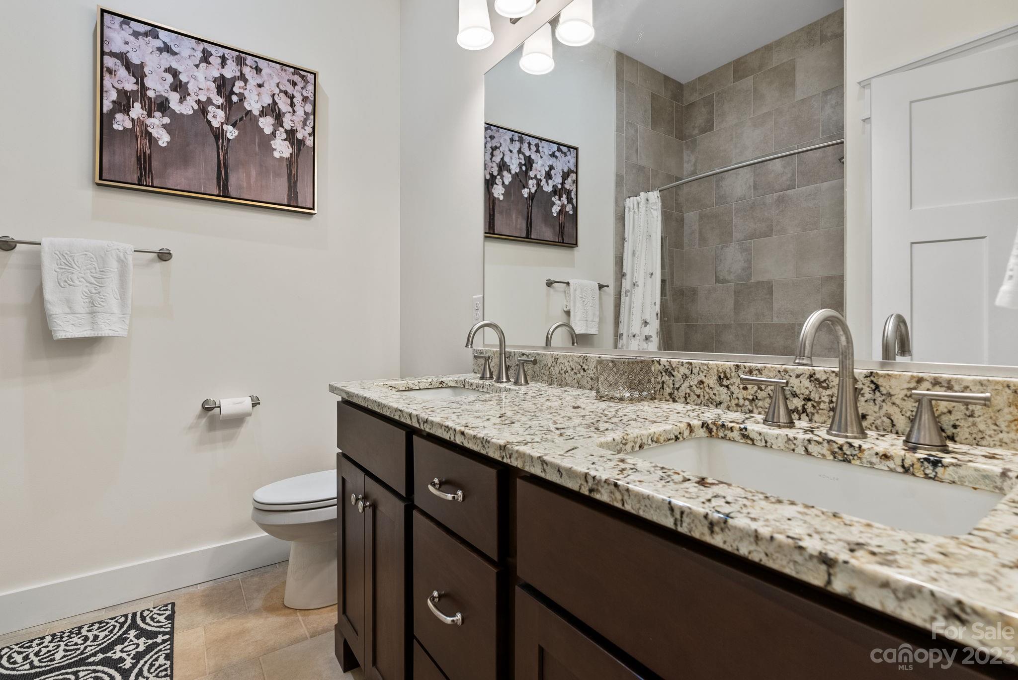 37 Still Creek Loop Fairview, NC 28730 - Photo 30 of 46 a bathroom with a granite countertop sink a toilet and a mirror