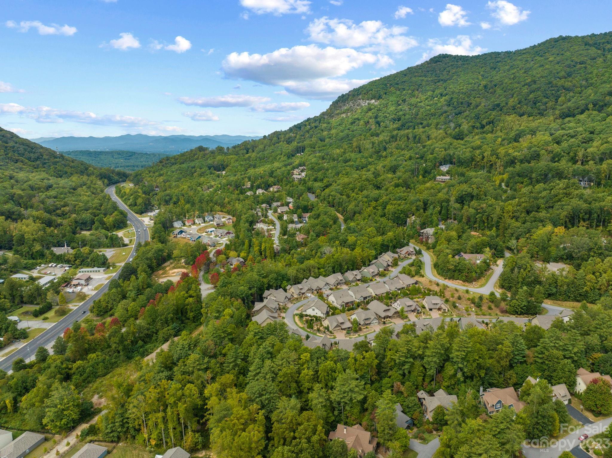 37 Still Creek Loop Fairview, NC 28730 - Photo 40 of 46 a view of a big yard with lots of green space