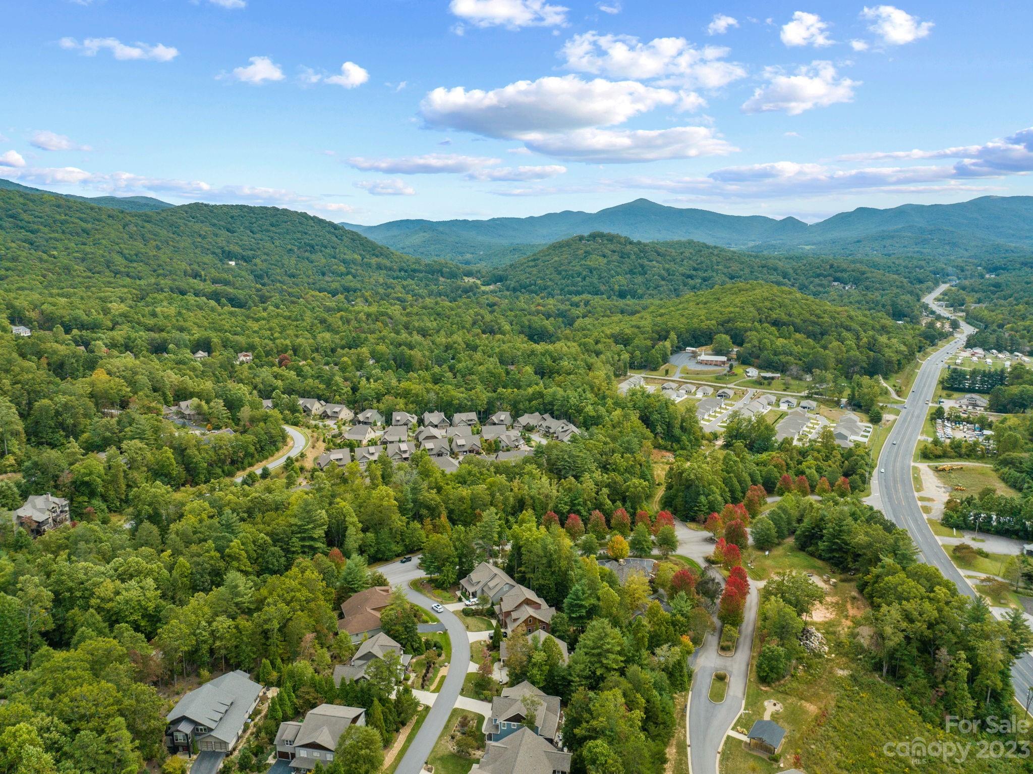 37 Still Creek Loop Fairview, NC 28730 - Photo 41 of 46 a view of a green field with lots of bushes