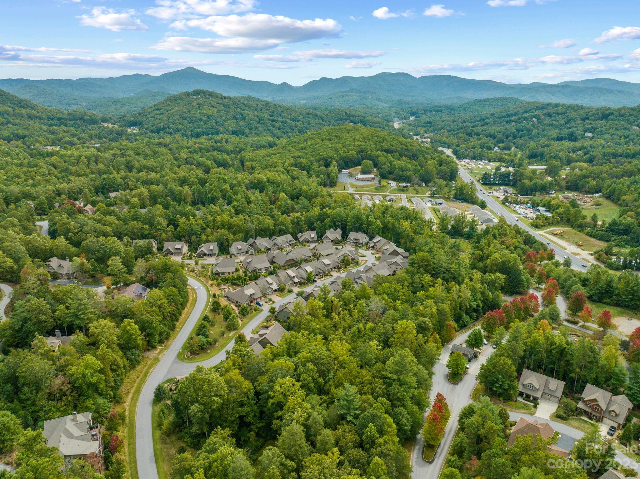 37 Still Creek Loop Fairview, NC 28730 - Photo 42 of 46 a view of a lush green forest with mountains in the background
