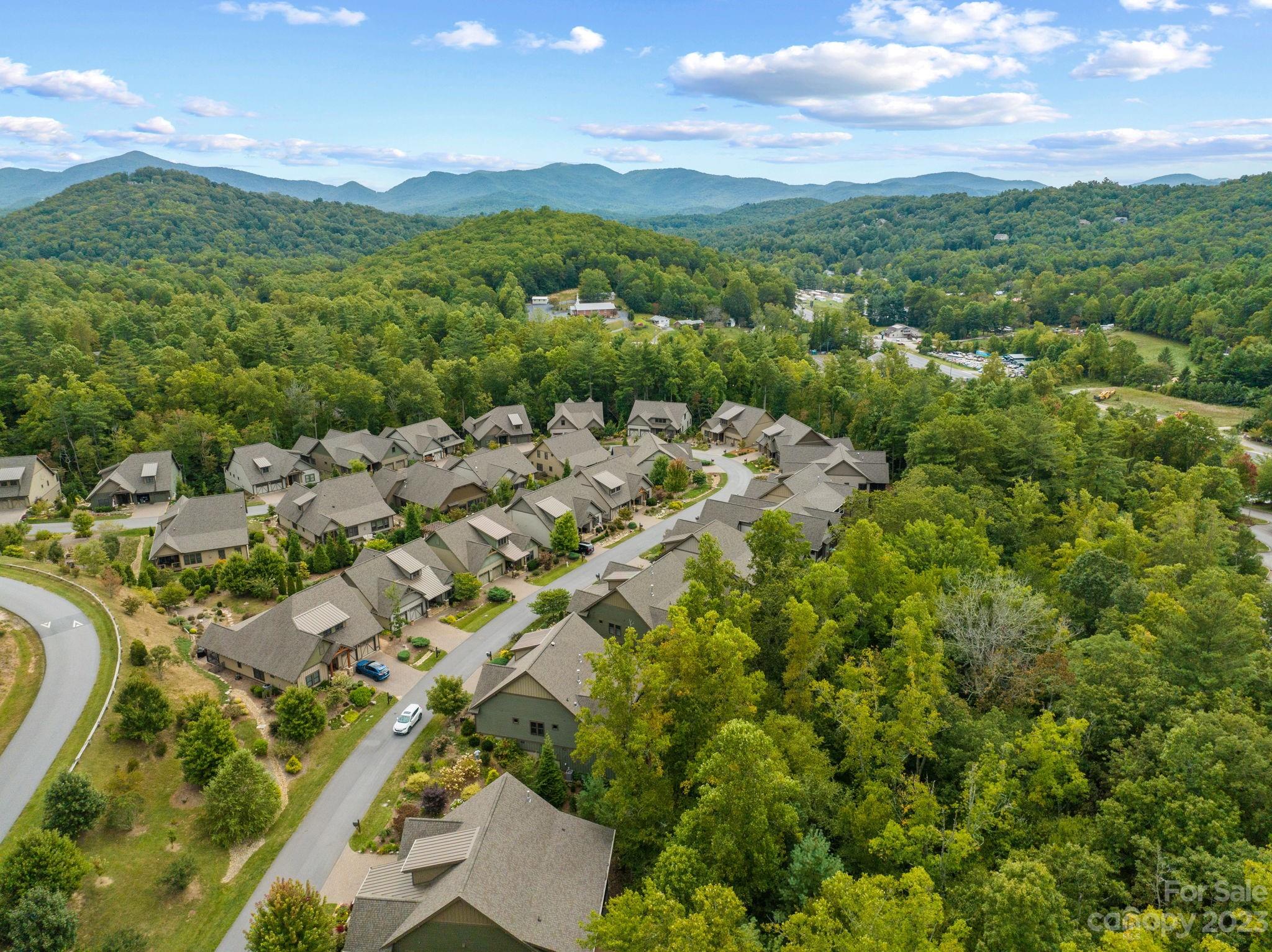 37 Still Creek Loop Fairview, NC 28730 - Photo 44 of 46 an aerial view of residential houses with outdoor space and trees