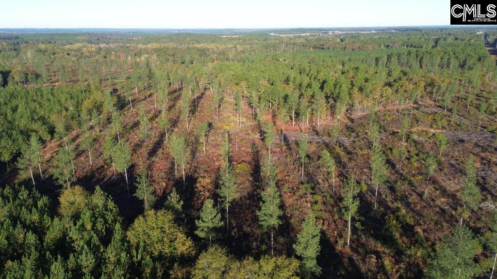 Fairview Road Leesville, SC 29070 - Photo 12 of 12