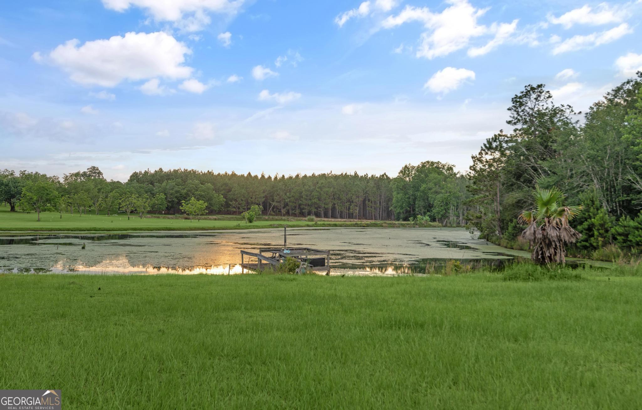 4909 Perry Road Claxton, GA 30417 - Photo 54 of 54 a view of a lake view