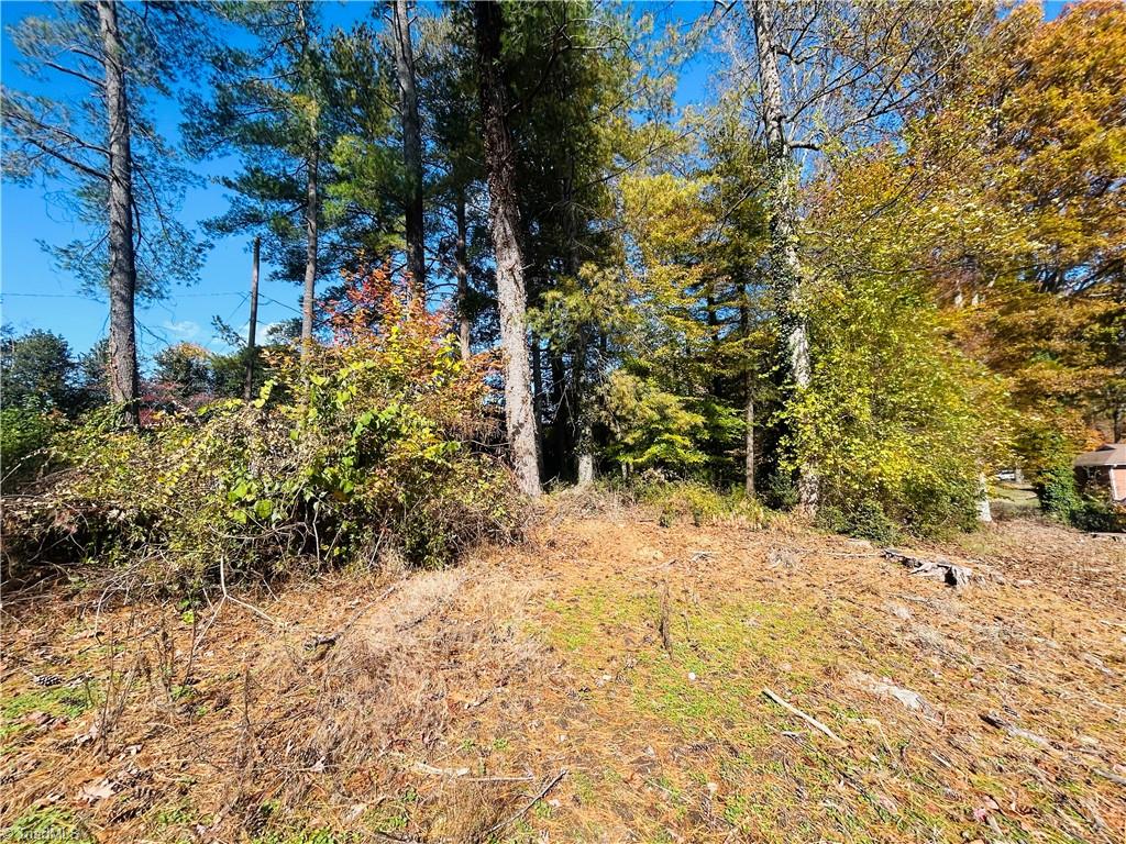Tbd Old Springs Road Mount Airy, NC 27030 - Photo 3 of 17