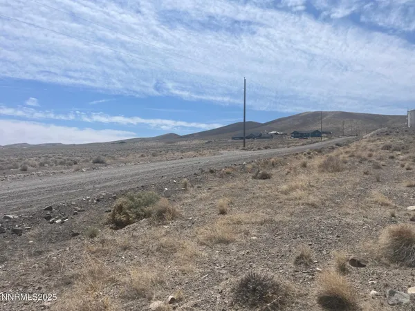 a view of a dry field with trees in the background
