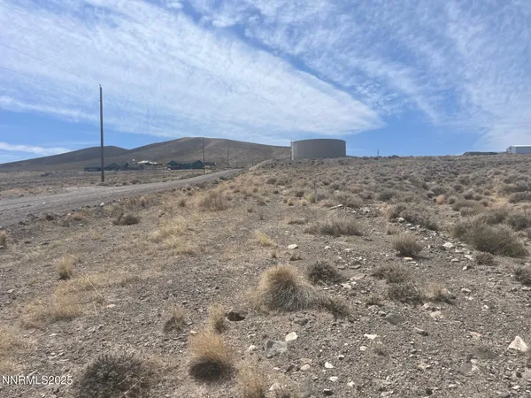 a view of a dry yard