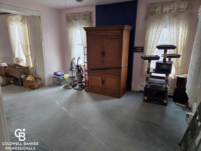 10729 Brandon Road Emmett, MI 48022 - Photo 17 of 48