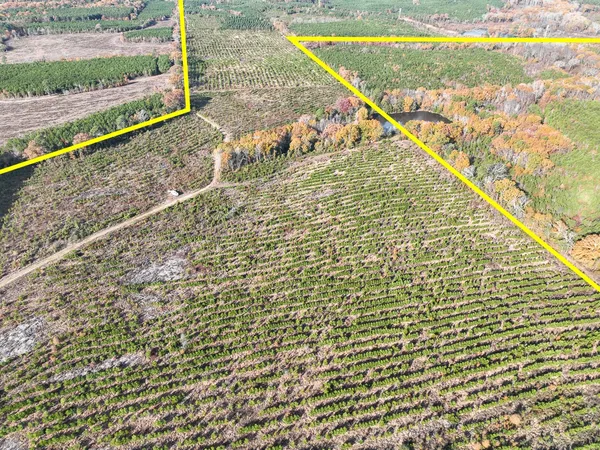$1,299,000 | 0 Cr 3201 Daingerfield Tx 75638, Omaha, TX 75571