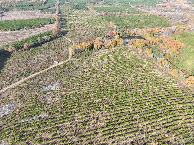 $1,299,000 | 0 Cr 3201 Daingerfield Tx 75638, Omaha, TX 75571