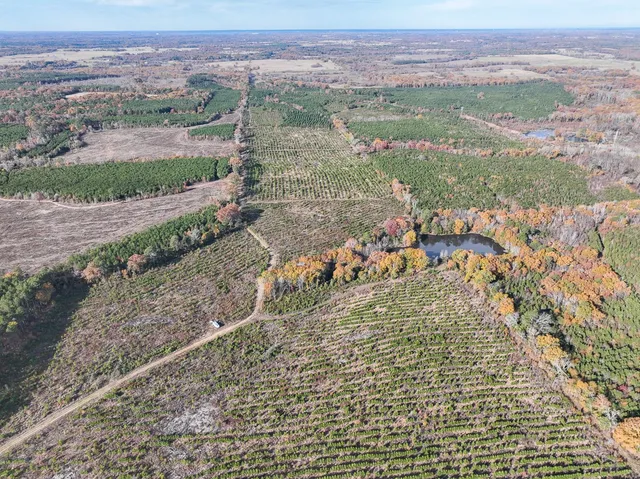 $1,299,000 | 0 Cr 3201 Daingerfield Tx 75638, Omaha, TX 75571