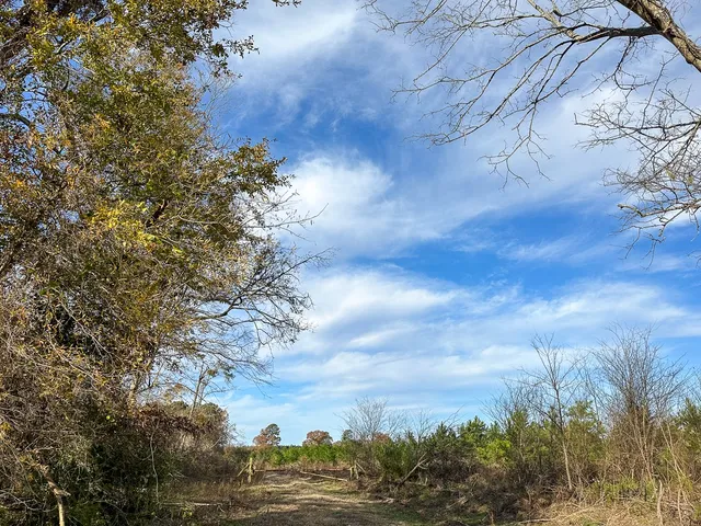 $1,299,000 | 0 Cr 3201 Daingerfield Tx 75638, Omaha, TX 75571