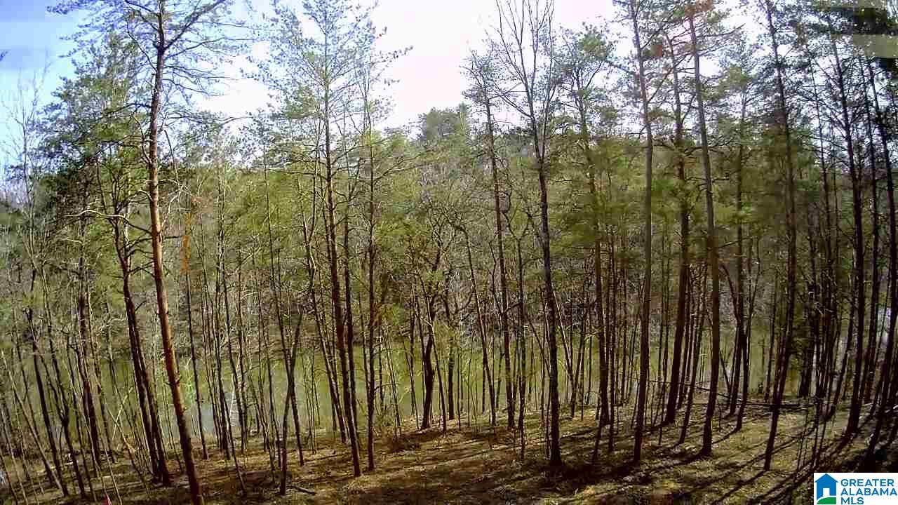 Solitude Drive, Unit 17 Clanton, AL 35046 - Photo 1 of 4