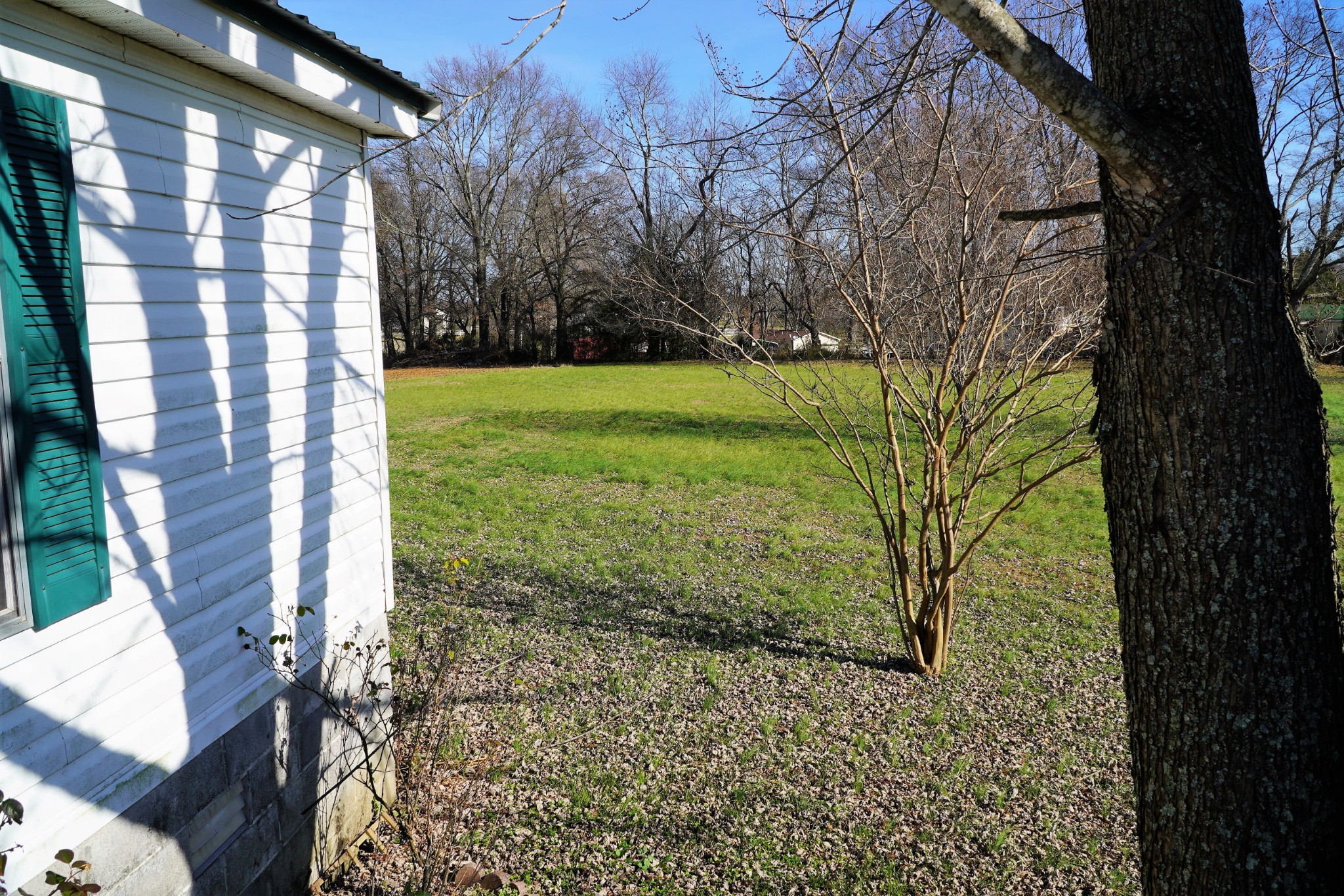 680 Howell Hill Road Flintville, TN 37335 - Photo 20 of 48 a view of a yard with plants and trees