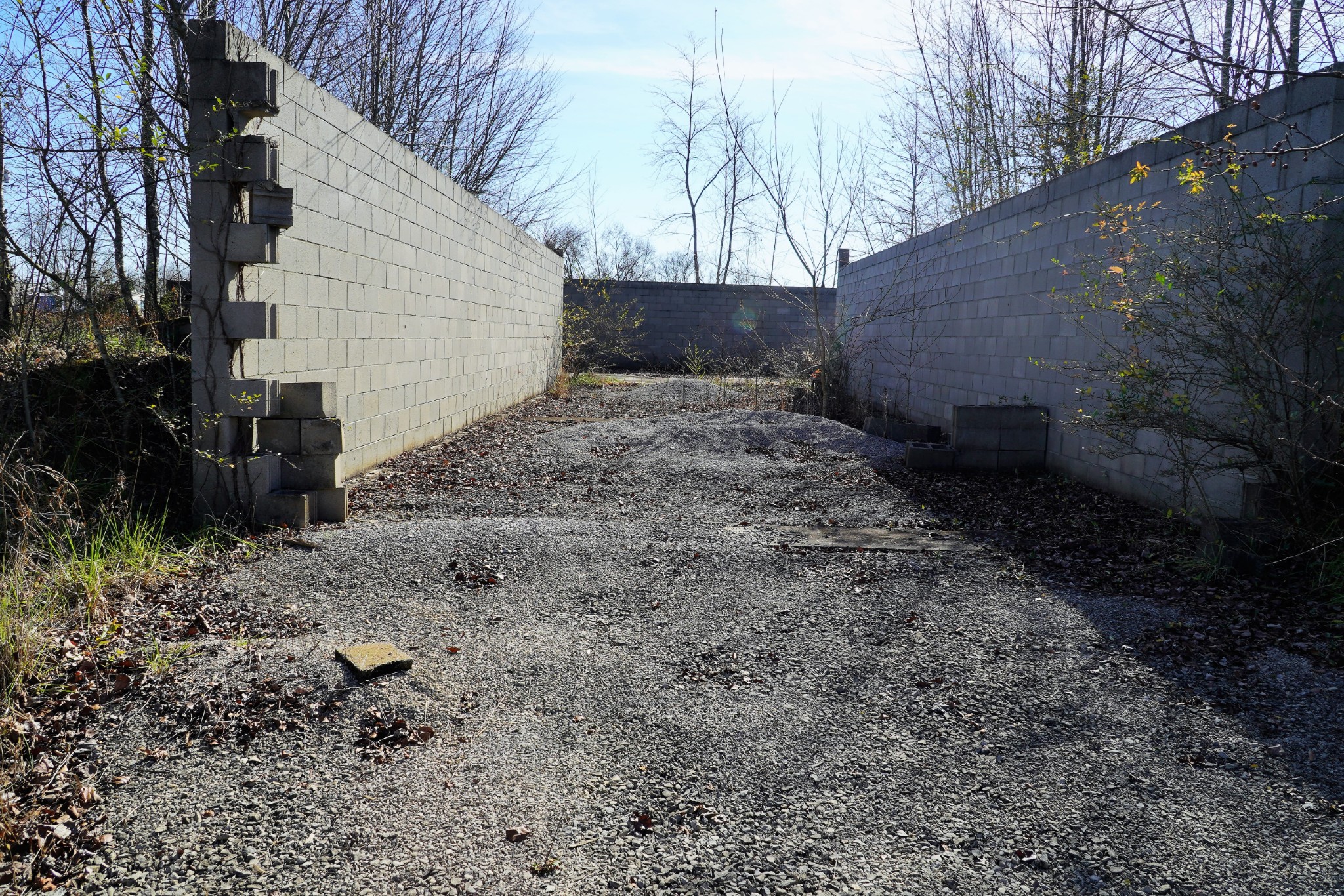 680 Howell Hill Road Flintville, TN 37335 - Photo 32 of 48 a view of a yard with plants and trees