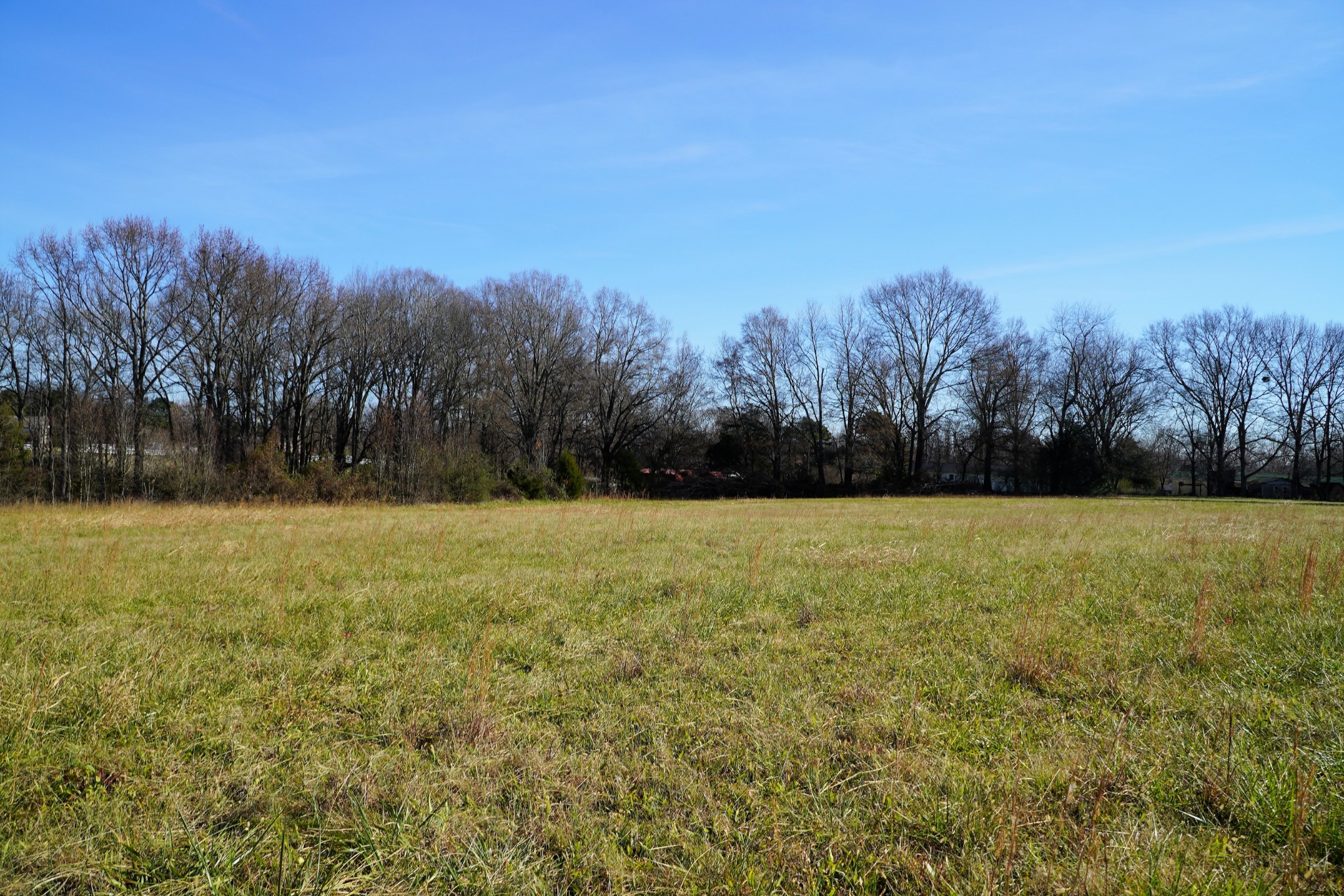 680 Howell Hill Road Flintville, TN 37335 - Photo 34 of 48 a view of a yard