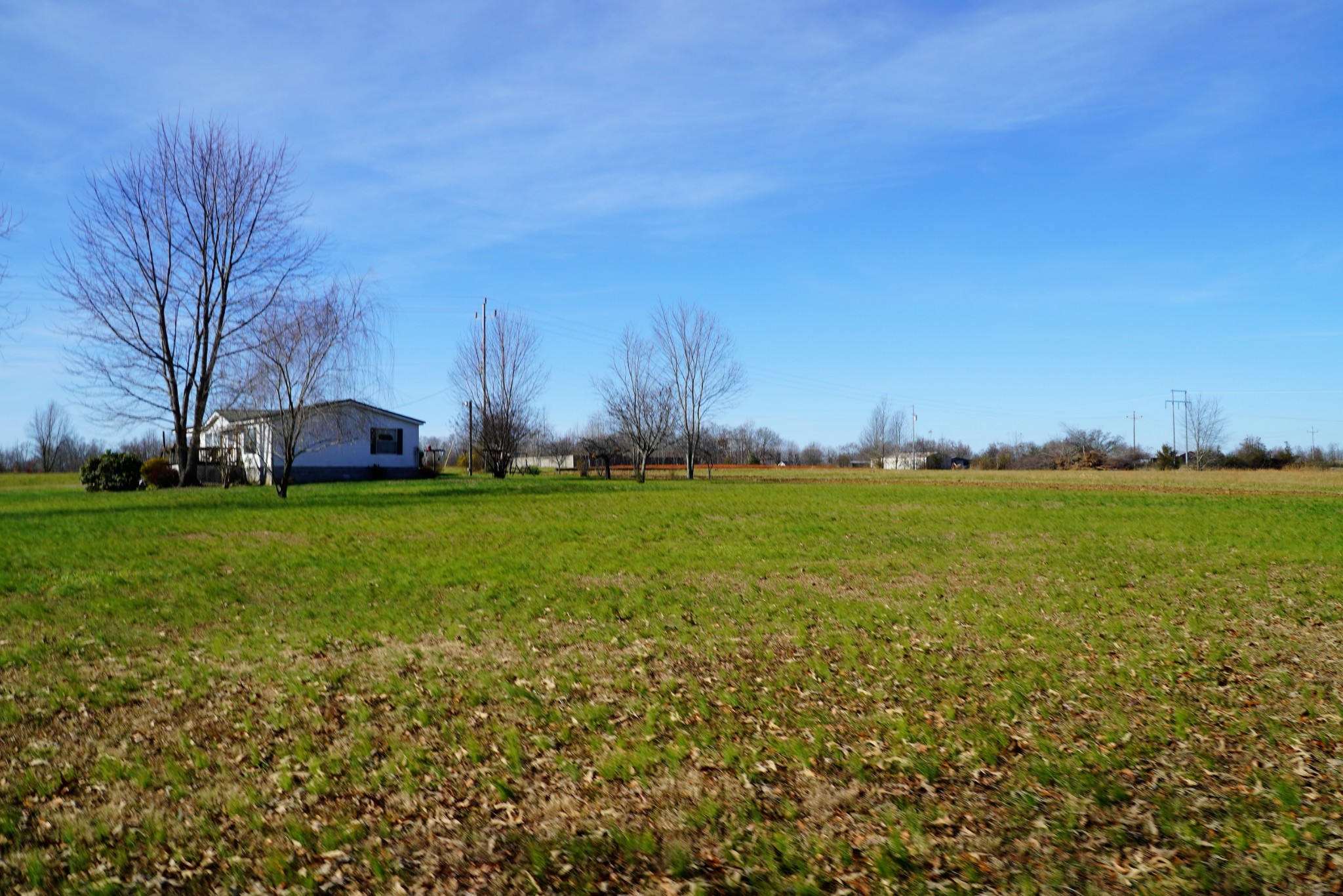680 Howell Hill Road Flintville, TN 37335 - Photo 43 of 48 a view of yard with swimming pool and green space