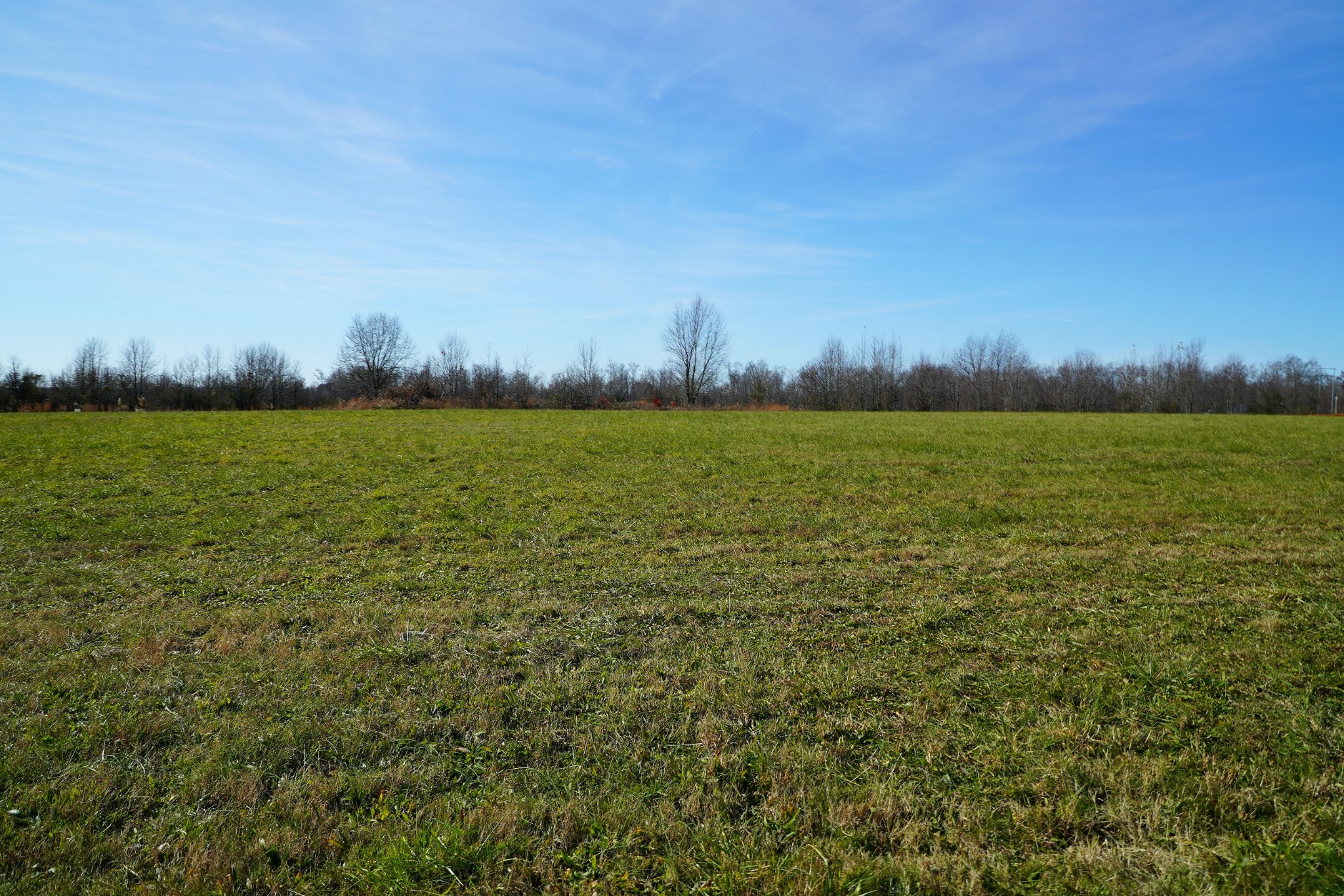 680 Howell Hill Road Flintville, TN 37335 - Photo 45 of 48 a view of an ocean beach and a yard