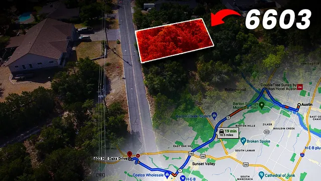 a view of a flower arrangement in a backyard