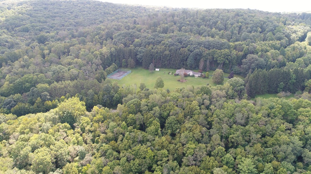 3046 Jackson Center Polk Road Polk, PA 16342 - Photo 4 of 21 Gallery Image 4