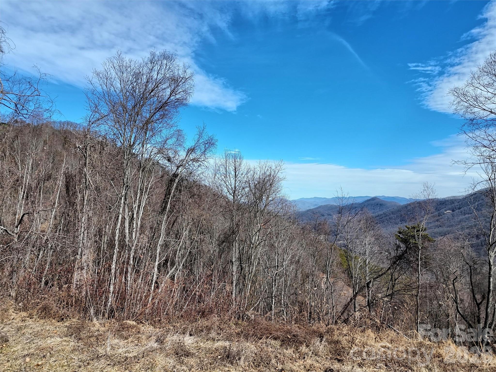 Tbd Rock Brg Road, Unit 9A & 9B Canton, NC 28716 - Photo 11 of 34 a view of a yard with a tree