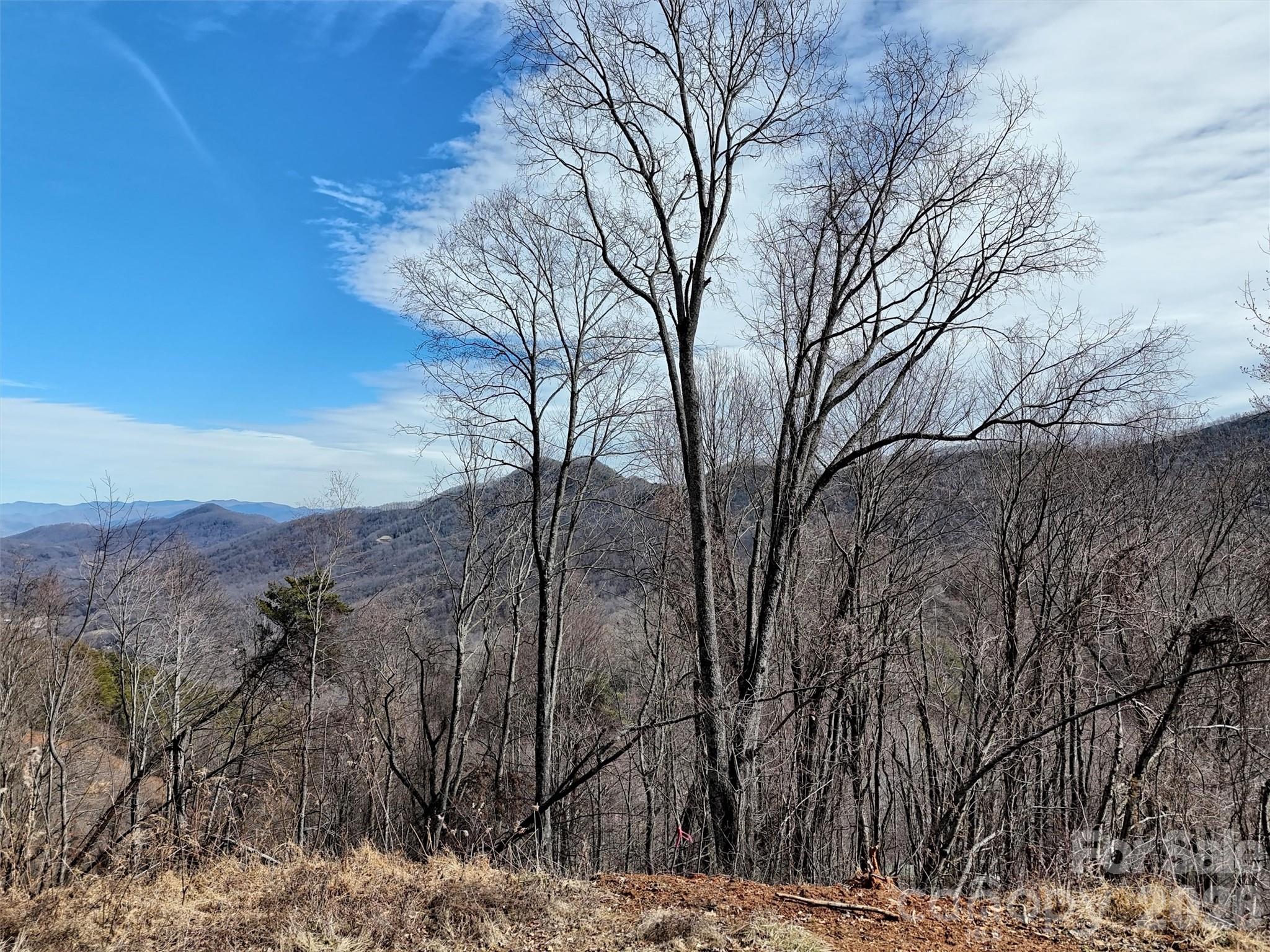 Tbd Rock Brg Road, Unit 9A & 9B Canton, NC 28716 - Photo 12 of 34 a view of mountain covered with snow