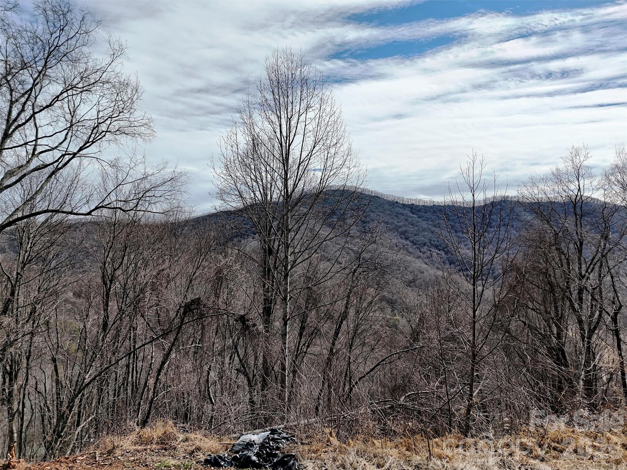 Tbd Rock Brg Road, Unit 9A & 9B Canton, NC 28716 - Photo 13 of 34 a view of a backyard of the house