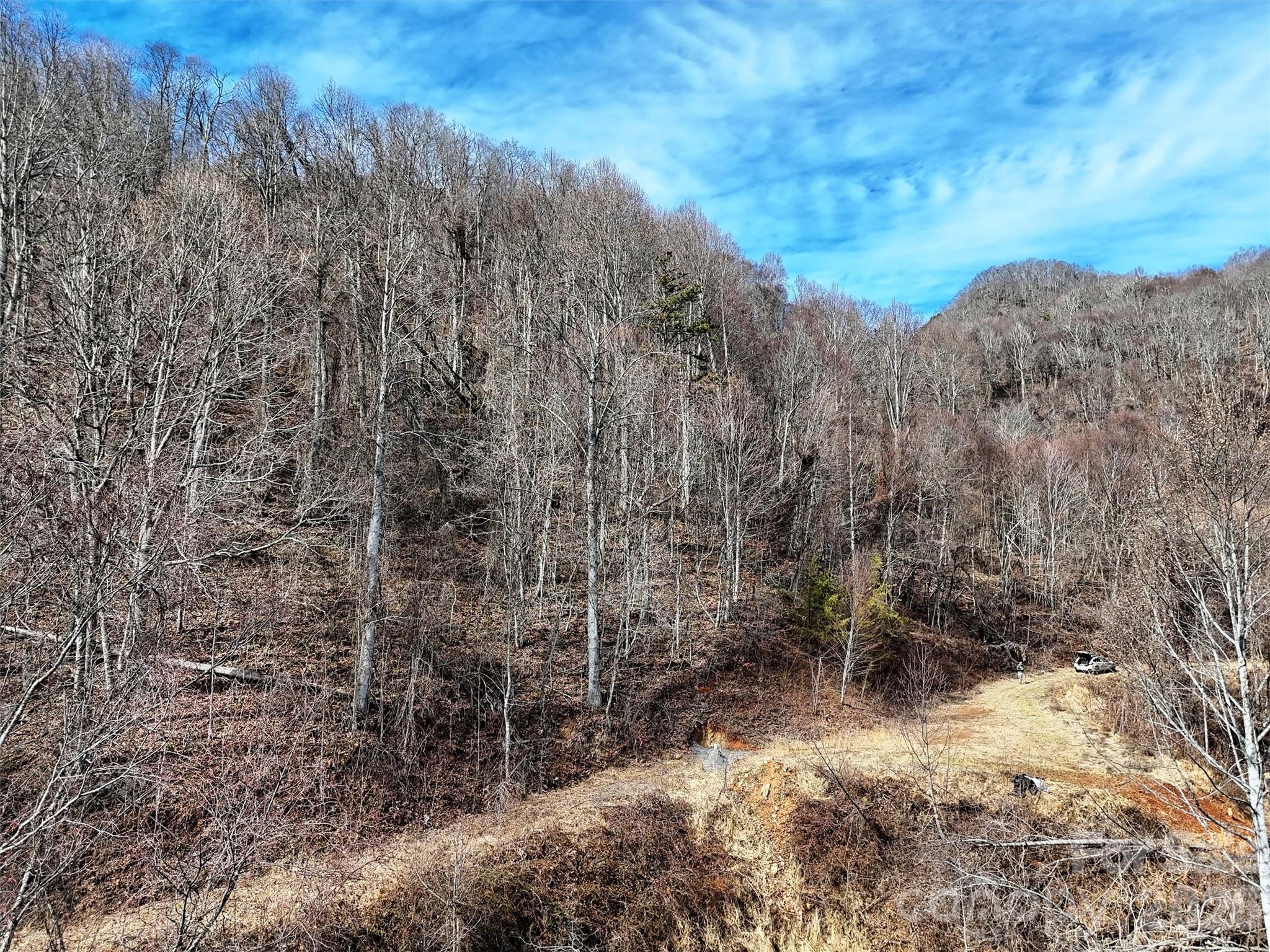 Tbd Rock Brg Road, Unit 9A & 9B Canton, NC 28716 - Photo 14 of 34 a view of a dry yard with trees