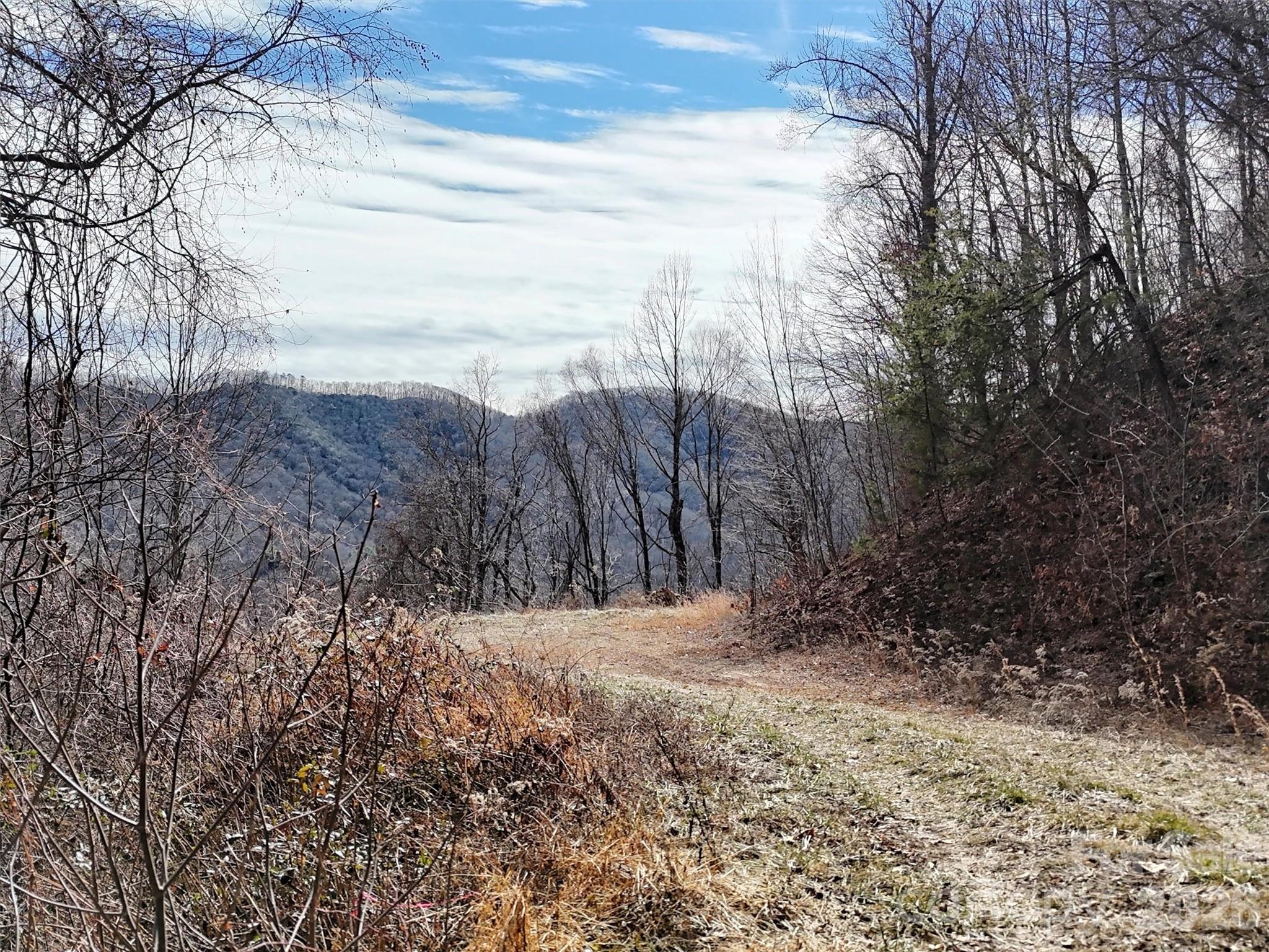 Tbd Rock Brg Road, Unit 9A & 9B Canton, NC 28716 - Photo 15 of 34 a view of a yard with large trees