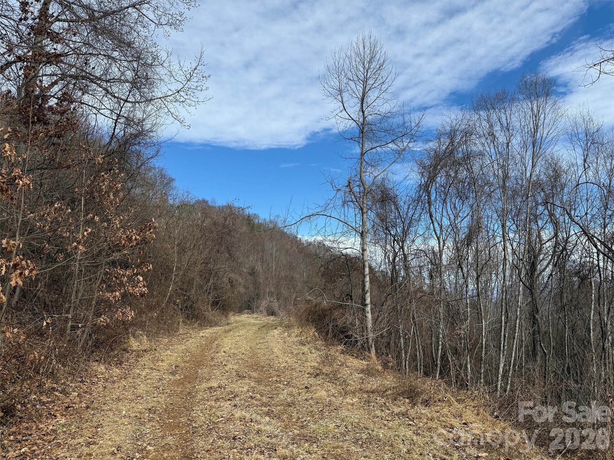 Tbd Rock Brg Road, Unit 9A & 9B Canton, NC 28716 - Photo 16 of 34 a view of a yard with a tree