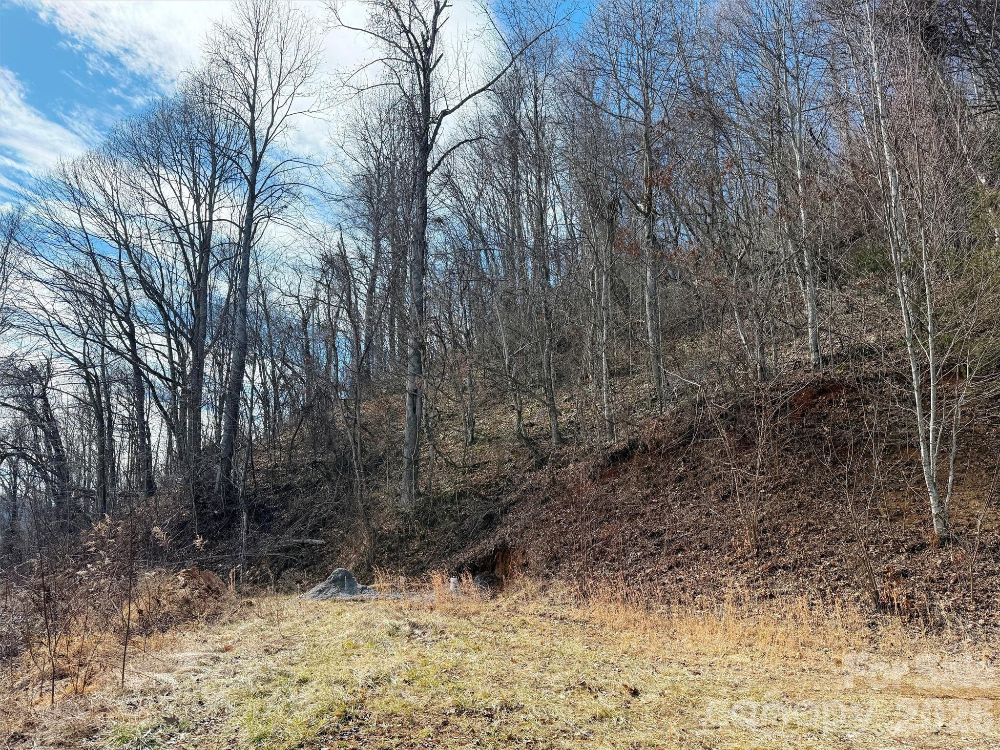 Tbd Rock Brg Road, Unit 9A & 9B Canton, NC 28716 - Photo 18 of 34