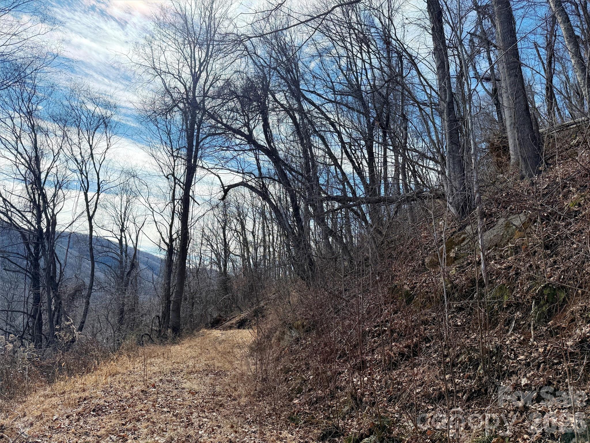 Tbd Rock Brg Road, Unit 9A & 9B Canton, NC 28716 - Photo 22 of 34 a view of a forest with trees in the background