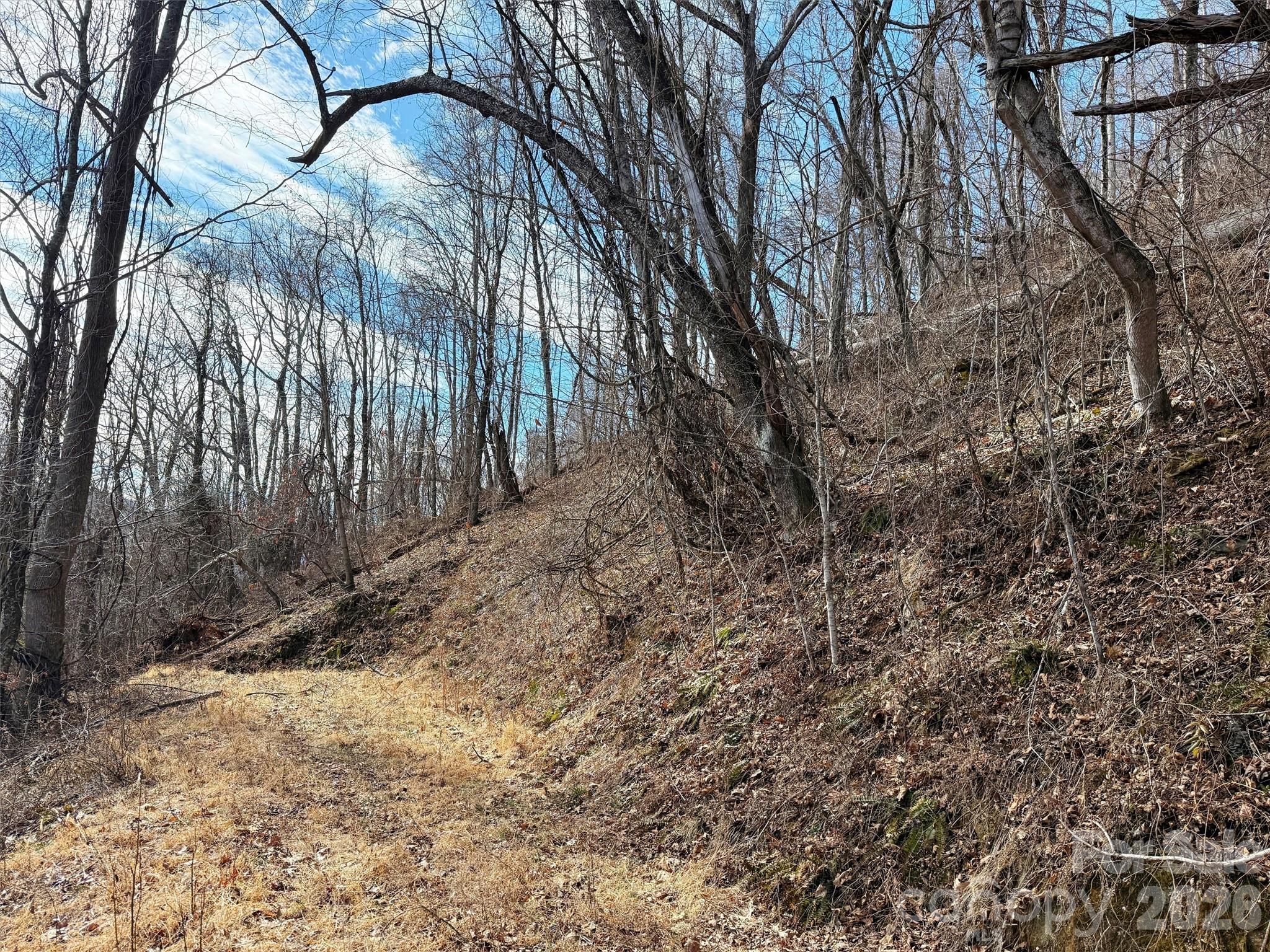 Tbd Rock Brg Road, Unit 9A & 9B Canton, NC 28716 - Photo 24 of 34 a view of backyard with tree