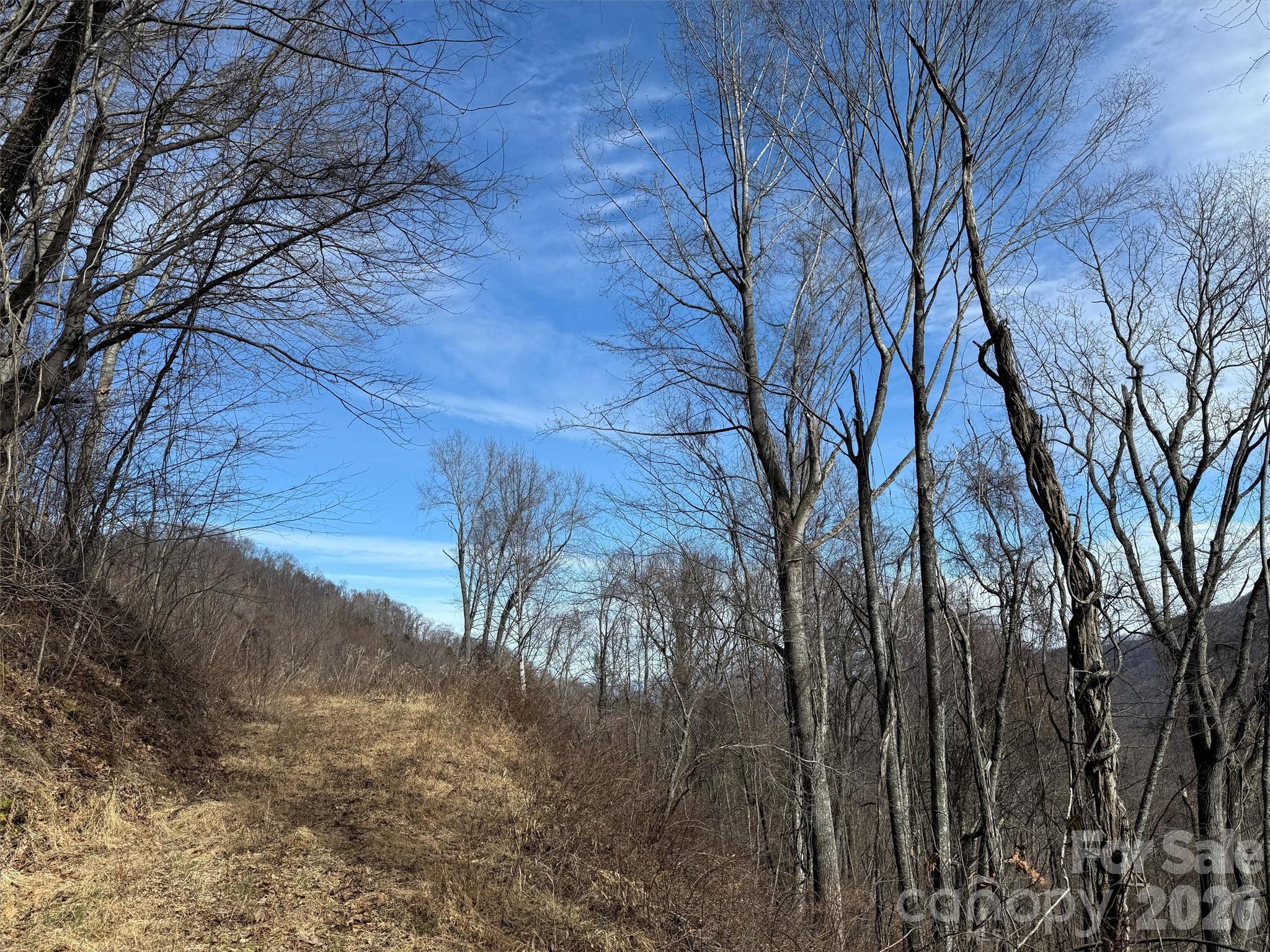 Tbd Rock Brg Road, Unit 9A & 9B Canton, NC 28716 - Photo 25 of 34 a backyard of a house with lots of green space