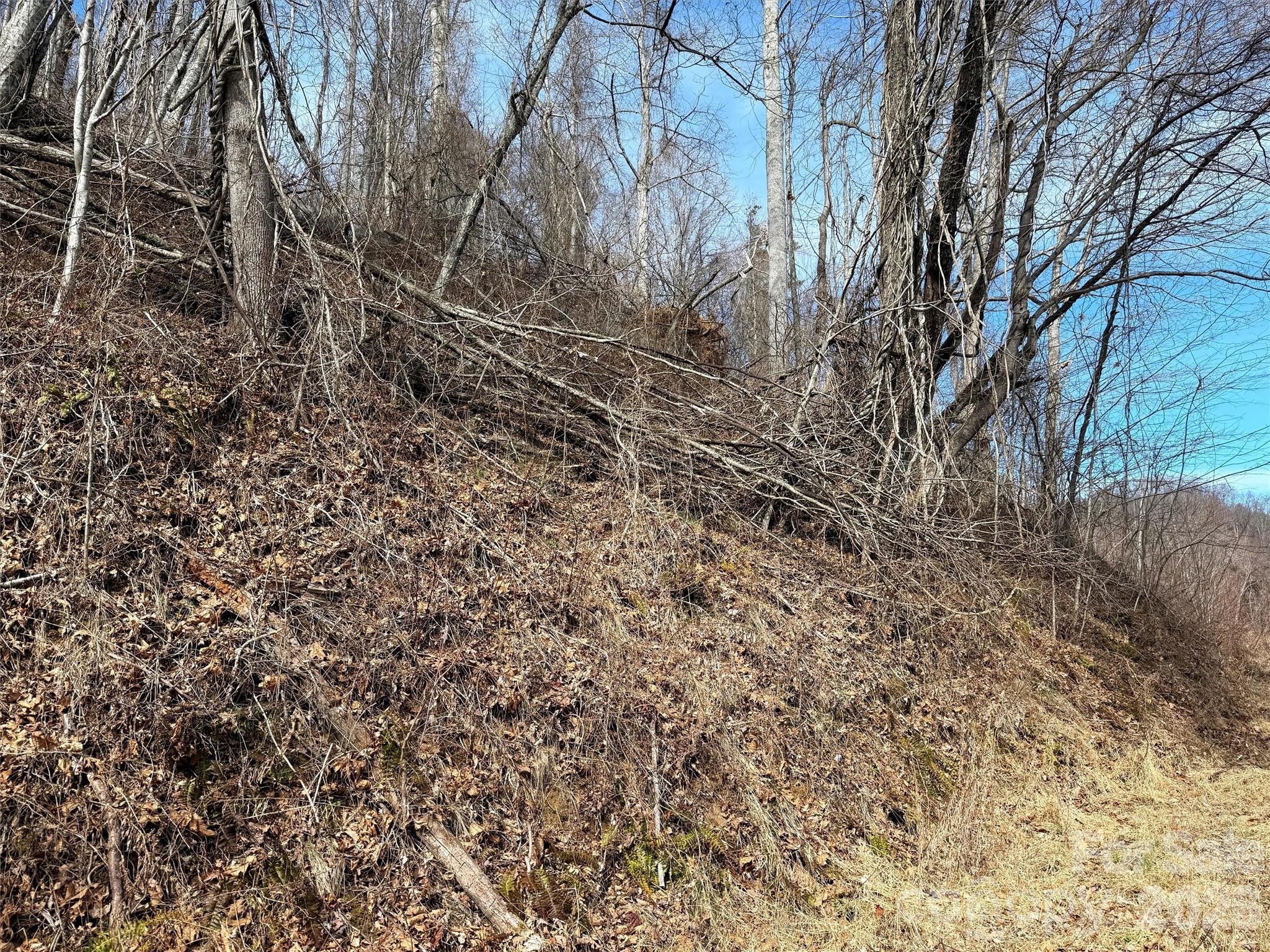 Tbd Rock Brg Road, Unit 9A & 9B Canton, NC 28716 - Photo 26 of 34 a view of a yard with a tree