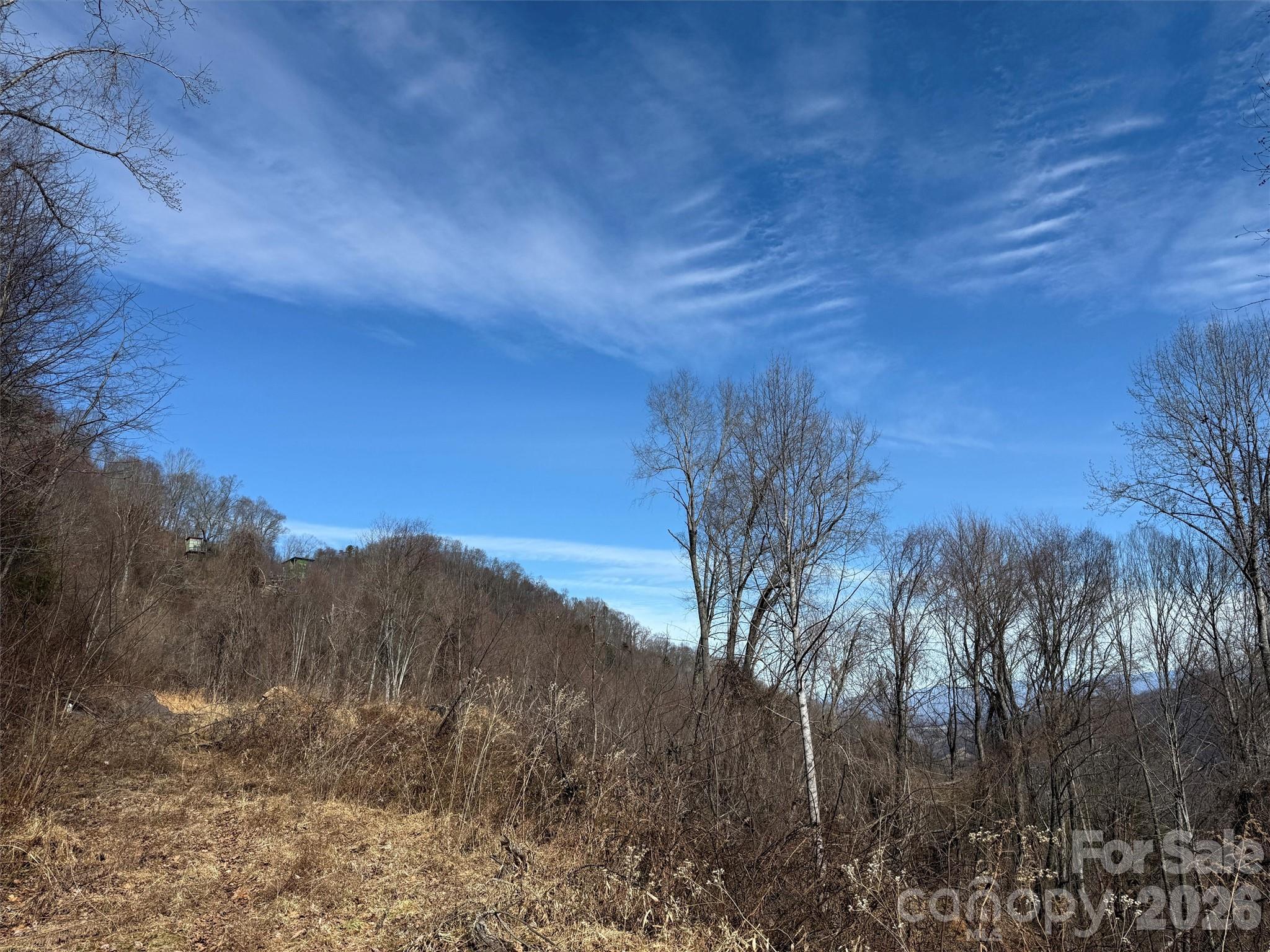 Tbd Rock Brg Road, Unit 9A & 9B Canton, NC 28716 - Photo 27 of 34 a view of a yard