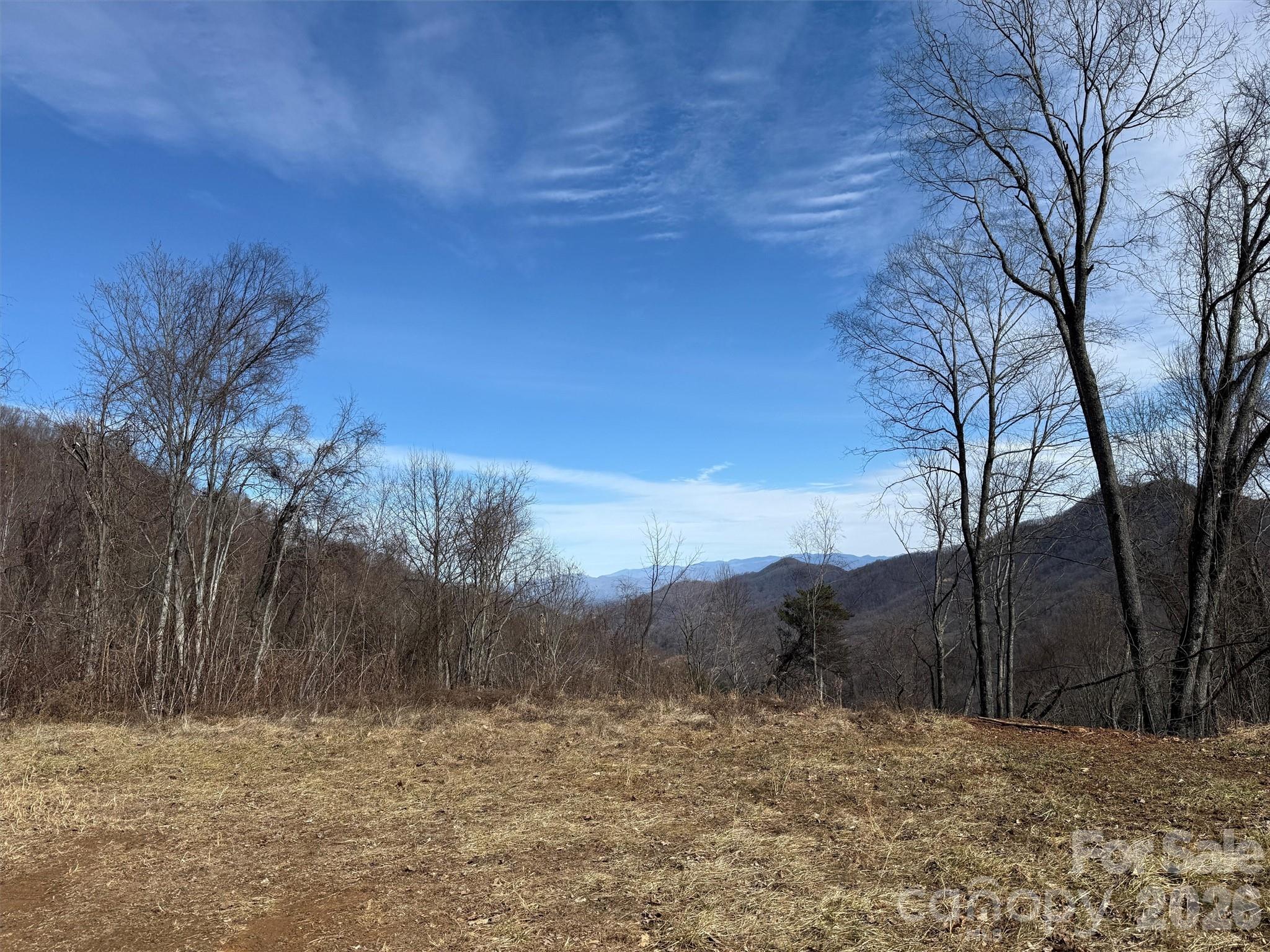 Tbd Rock Brg Road, Unit 9A & 9B Canton, NC 28716 - Photo 28 of 34 a view of a yard with a tree