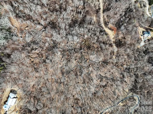 a view of a dry yard