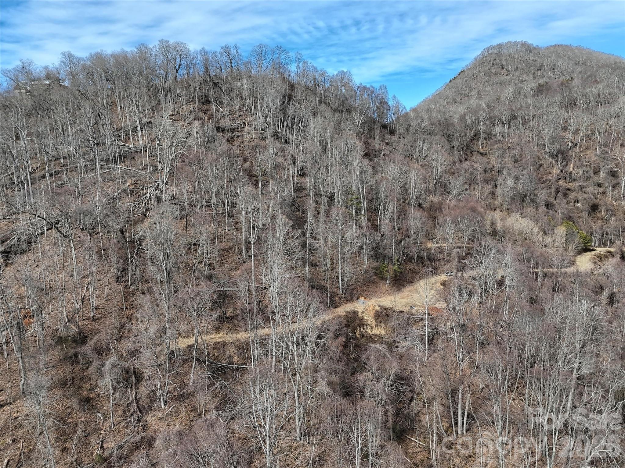Tbd Rock Brg Road, Unit 9A & 9B Canton, NC 28716 - Photo 7 of 34 a view of a dry yard