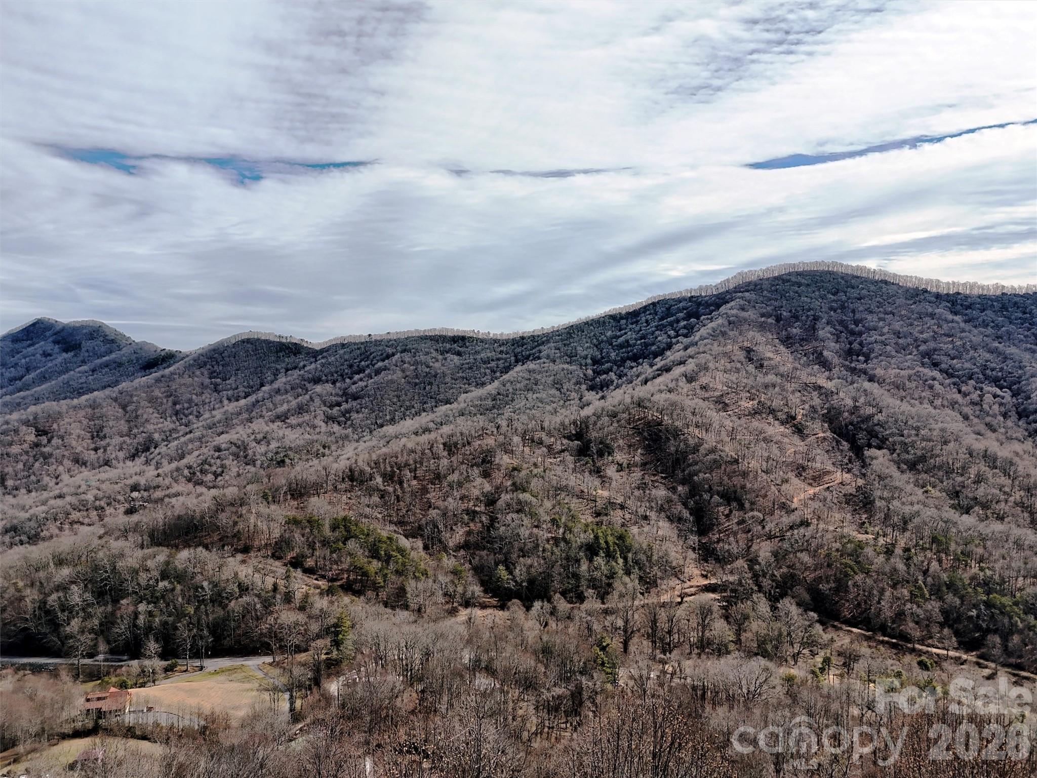 Tbd Rock Brg Road, Unit 9A & 9B Canton, NC 28716 - Photo 9 of 34 a view of a big yard with lots of plants and mountains