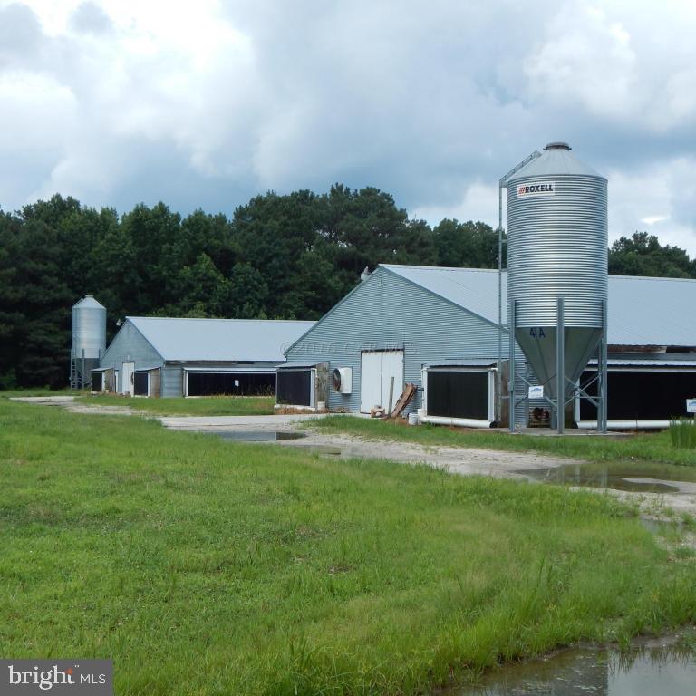 12033 Petes Hill Road Princess Anne, MD 21853 - Photo 1 of 40 Gallery Image 1
