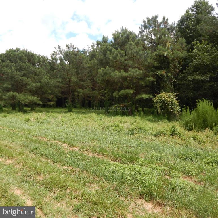 12033 Petes Hill Road Princess Anne, MD 21853 - Photo 14 of 40 Gallery Image 14