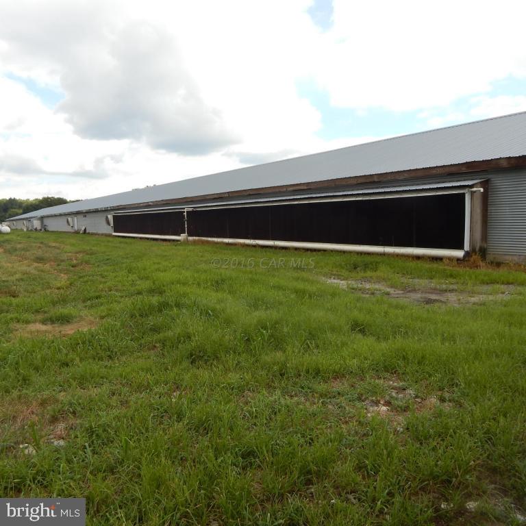12033 Petes Hill Road Princess Anne, MD 21853 - Photo 22 of 40 Gallery Image 22