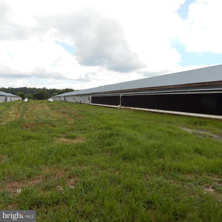 12033 Petes Hill Road Princess Anne, MD 21853 - Photo 23 of 40 Gallery Image 23