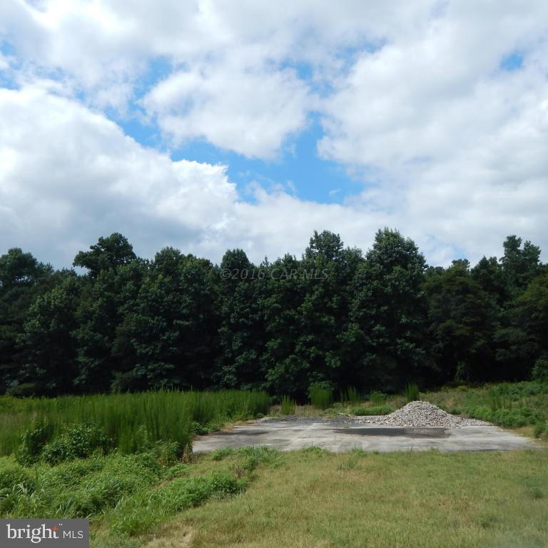 12033 Petes Hill Road Princess Anne, MD 21853 - Photo 10 of 40 Gallery Image 10